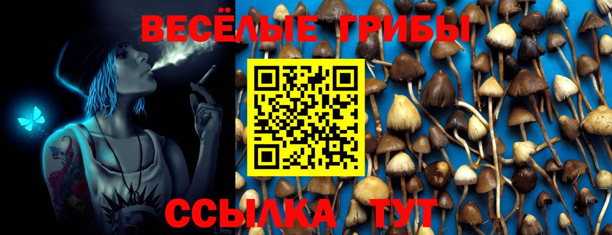 Галлюциногенные грибы прущие грибы  Псилоцибиновые грибы Cubensis  Анапа  Вход с VPN 